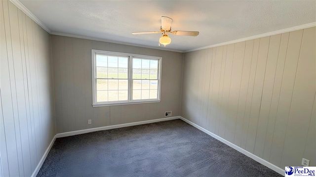 1030 Delta Mill Road, Pamplico, SC 29583