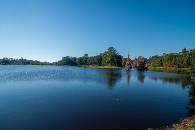 117 Finch Dr Unit 272, Georgetown, SC 29440