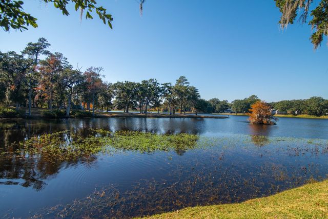 117 Finch Dr Unit 272, Georgetown, SC 29440