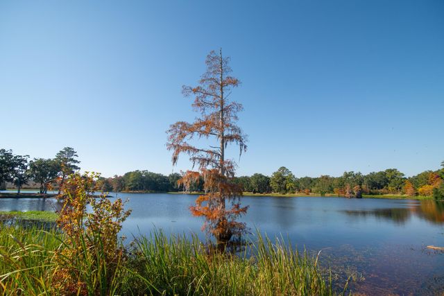 117 Finch Dr Unit 272, Georgetown, SC 29440