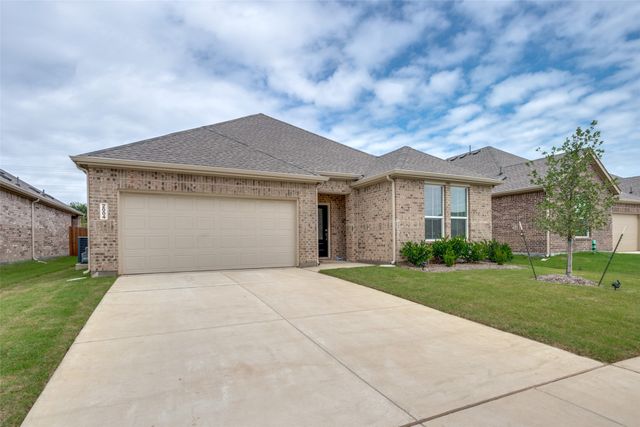 2004 Adams Drive, Little Elm, TX 75068