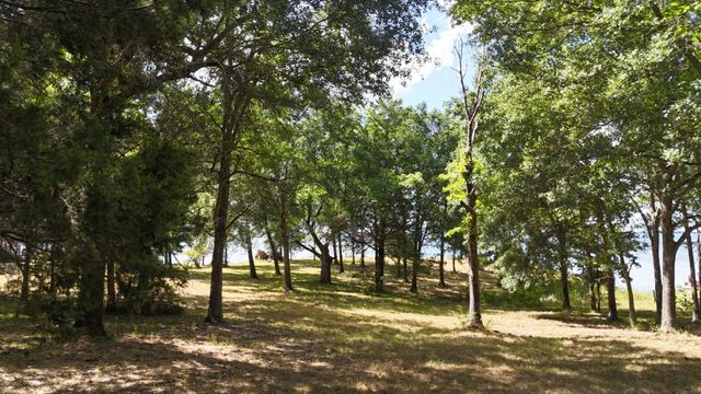 Lot 81 Appomattox, Streetman, TX 75859