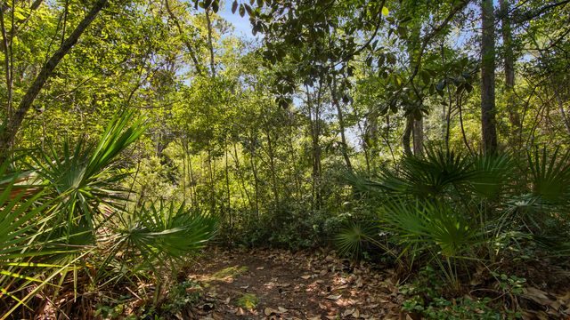 200 Adair Lane, Santa Rosa Beach, FL 32459