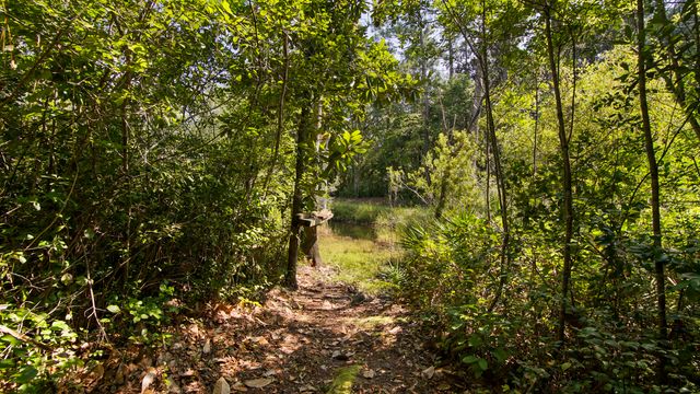 200 Adair Lane, Santa Rosa Beach, FL 32459