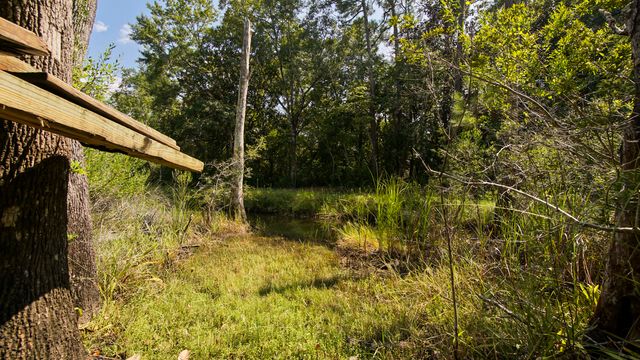 200 Adair Lane, Santa Rosa Beach, FL 32459