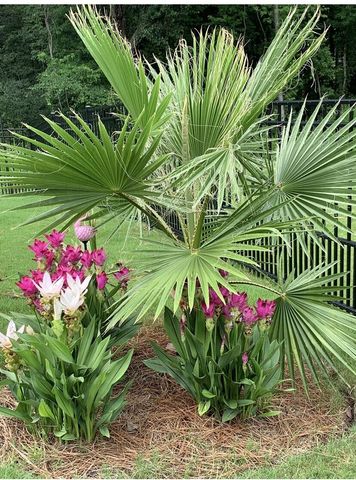 5065 Song Sparrow Way, Summerville, SC 29483