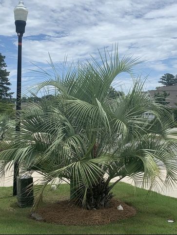 5065 Song Sparrow Way, Summerville, SC 29483