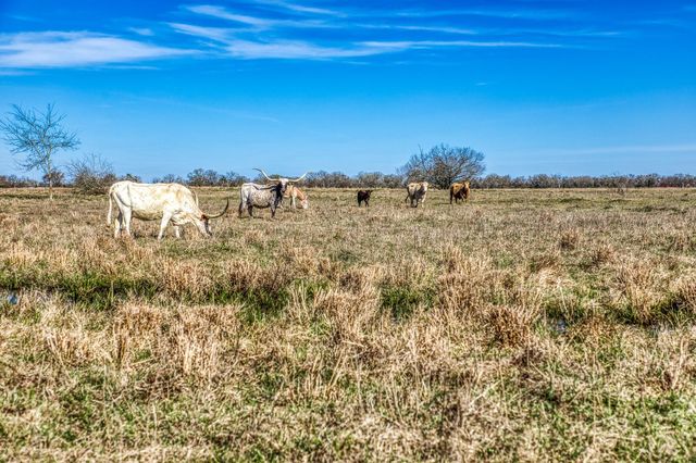 9044 Fm 1428, Midway, TX 75852