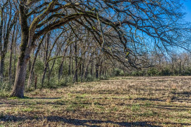 9044 Fm 1428, Midway, TX 75852