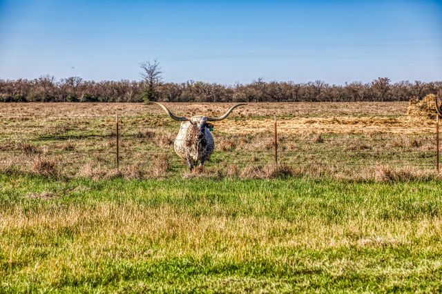 9044 Fm 1428, Midway, TX 75852