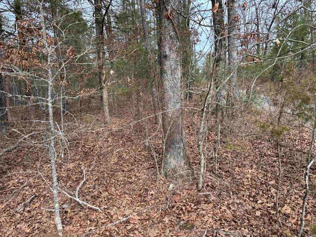 00 Pinewood Road, Clinton, AR 72031