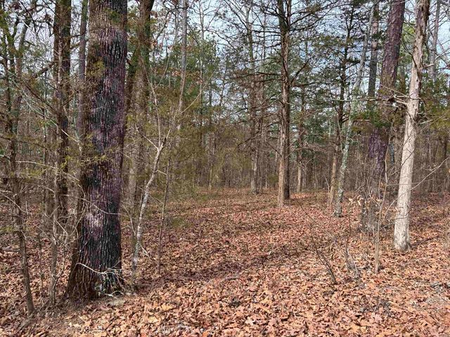 00 Pinewood Road, Clinton, AR 72031