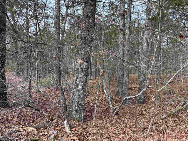 00 Pinewood Road, Clinton, AR 72031