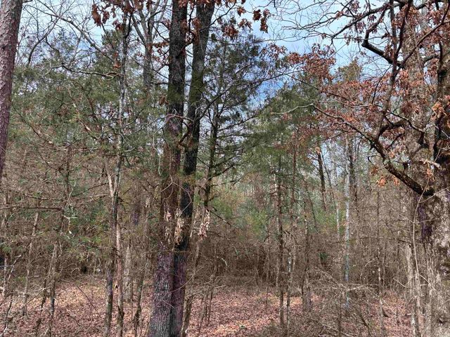 00 Pinewood Road, Clinton, AR 72031