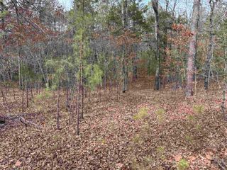 00 Pinewood Road, Clinton, AR 72031