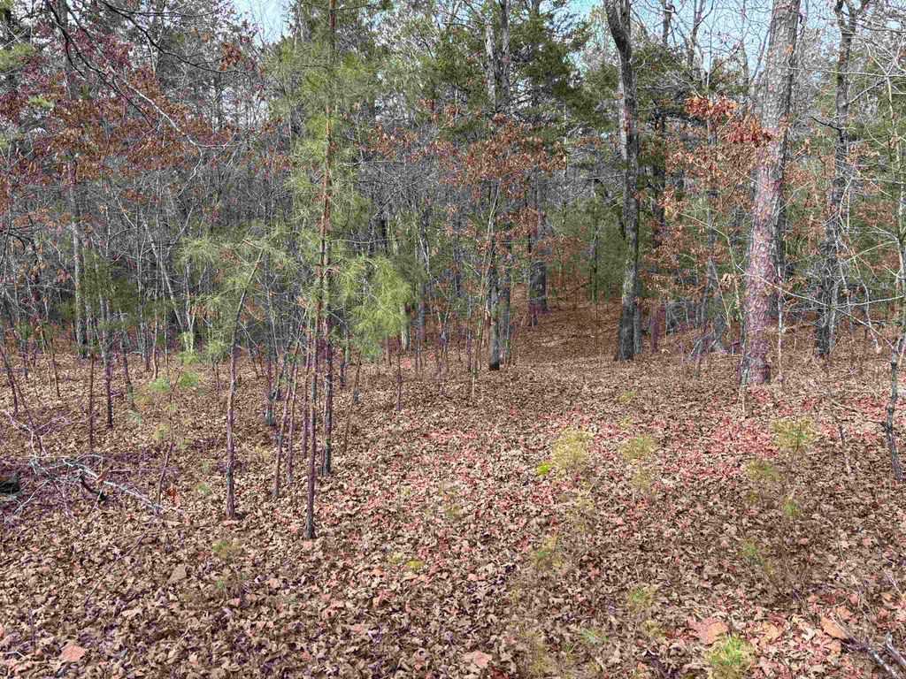 00 Pinewood Road, Clinton, AR 72031
