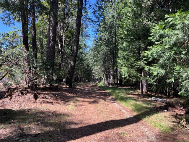 5201 Old Mine Rd, Grizzly Flats, CA 95636