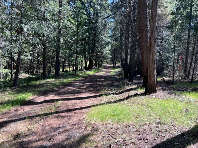 5201 Old Mine Rd, Grizzly Flats, CA 95636