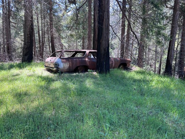 5201 Old Mine Rd, Grizzly Flats, CA 95636