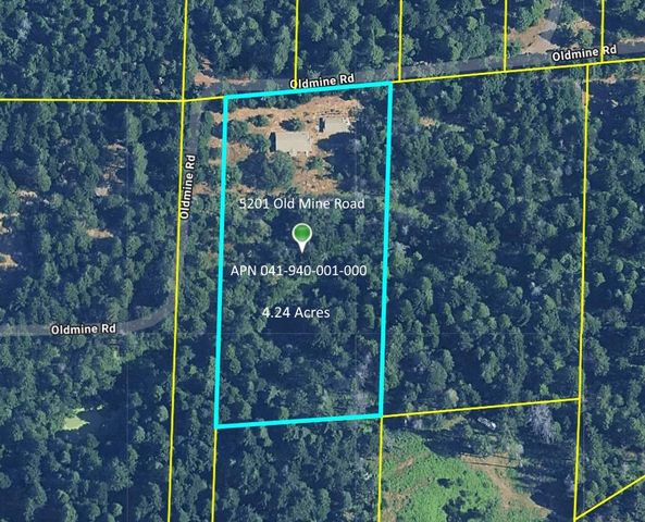 5201 Old Mine Rd, Grizzly Flats, CA 95636