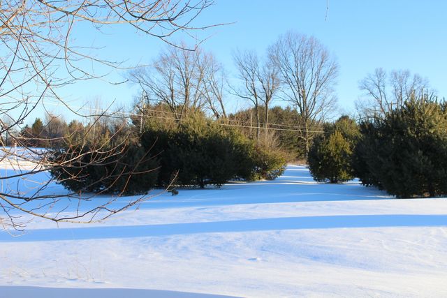 10289 Lee Road, Grass Lake, MI 49240