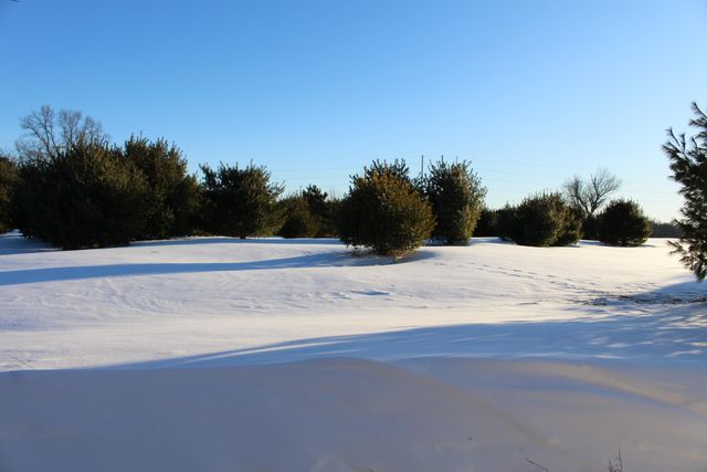 10289 Lee Road, Grass Lake, MI 49240