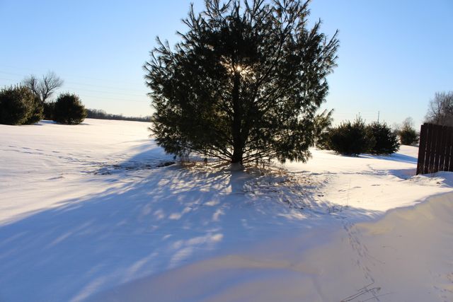 10289 Lee Road, Grass Lake, MI 49240