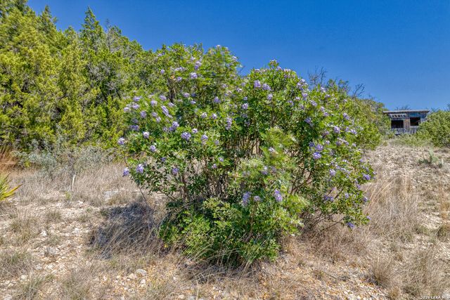 190 Fm 2748, Concan, TX 78838