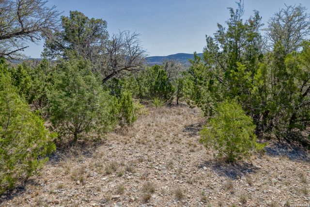 190 Fm 2748, Concan, TX 78838