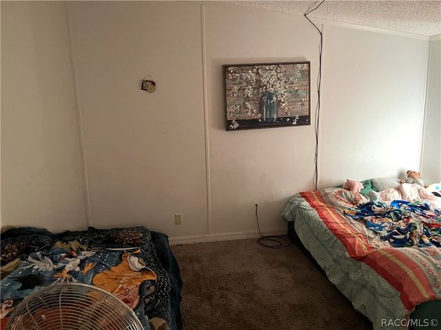 5905 N Highland Park Drive, Hernando, FL 34442