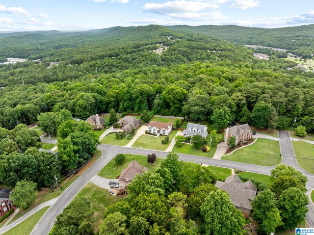 165 ESSEX DRIVE, Sterrett, AL 35147