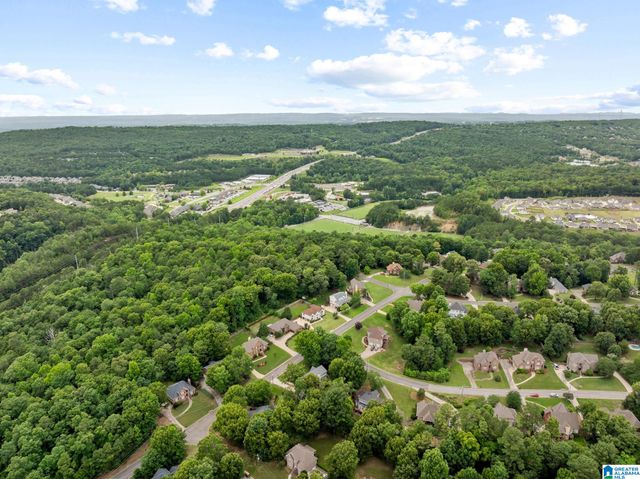 165 ESSEX DRIVE, Sterrett, AL 35147