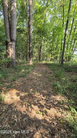 2639 Nc Highway 211 Road E, Clarkton, NC 28433