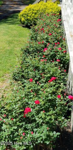 2639 Nc Highway 211 Road E, Clarkton, NC 28433