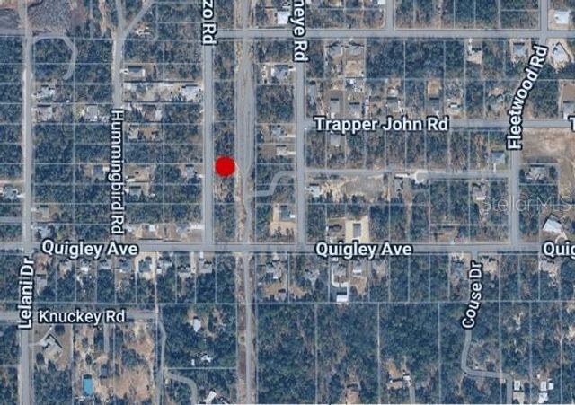 14498 GONZO ROAD, Weeki Wachee, FL 34614