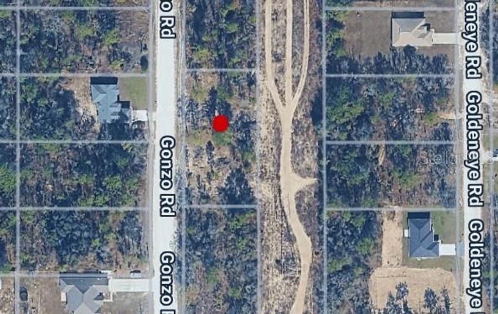 14498 GONZO ROAD, Weeki Wachee, FL 34614