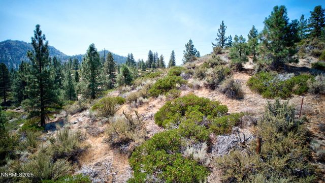 5645 Us Highway 50, Carson City, NV 89701