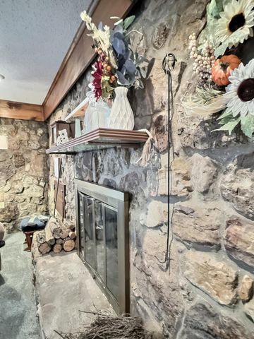 27 Carter 146, Fremont, MO 63941