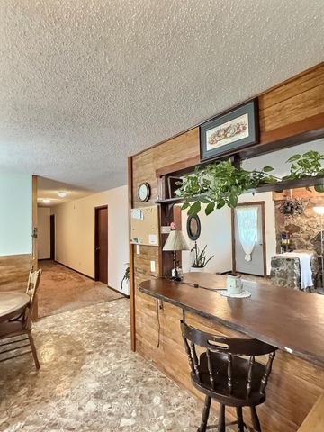 27 Carter 146, Fremont, MO 63941