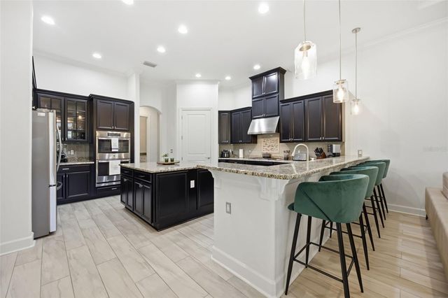 17309 LADERA ESTATES BOULEVARD, Lutz, FL 33548