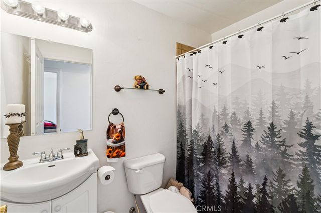 879 Spruce Lane, Sugarloaf, CA 92386