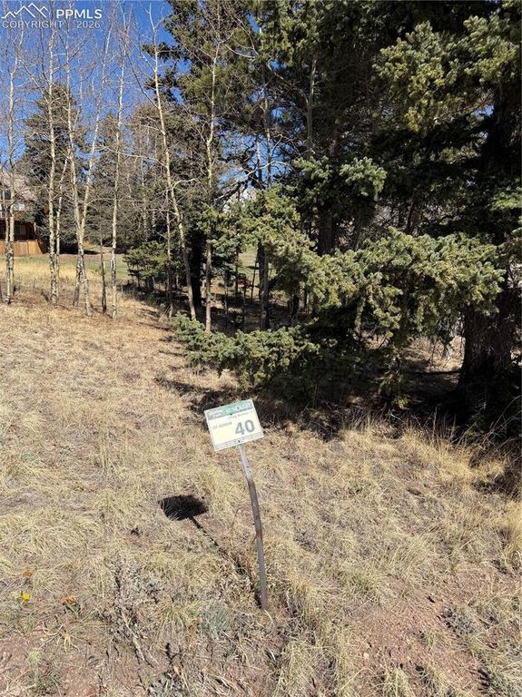 405 Meadow Park Drive, Divide, CO 80814 — exterior