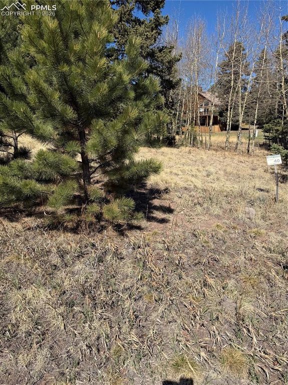 405 Meadow Park Drive, Divide, CO 80814 — photo 3