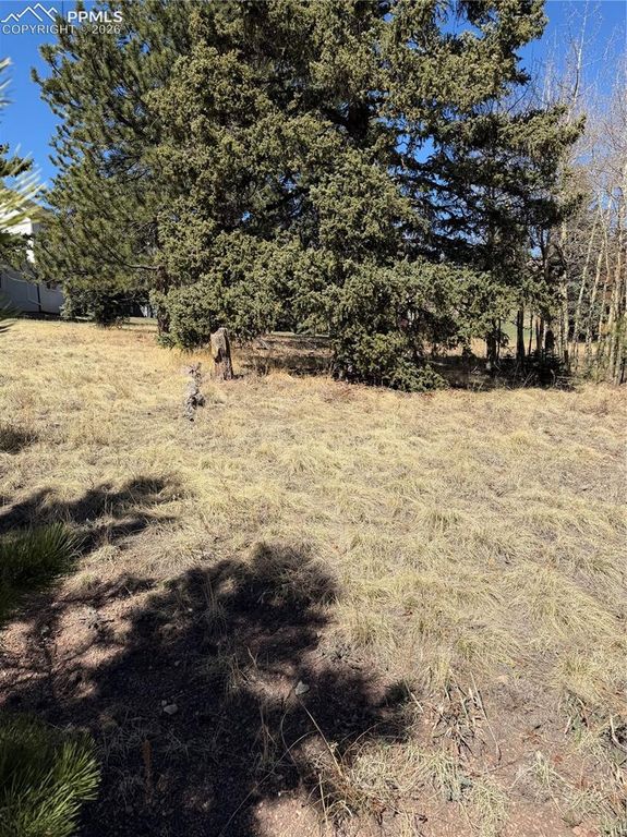 405 Meadow Park Drive, Divide, CO 80814 — photo 4