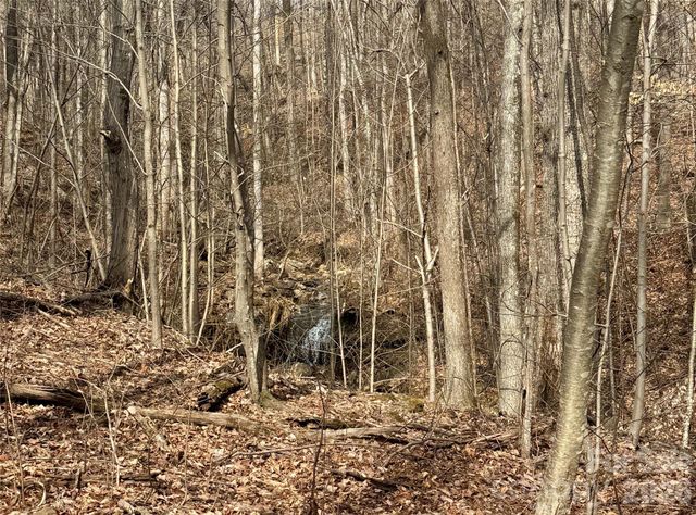 99999 Chesterfield Drive 179, Mill Spring, NC 28756