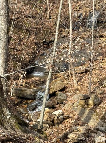 99999 Chesterfield Drive 179, Mill Spring, NC 28756