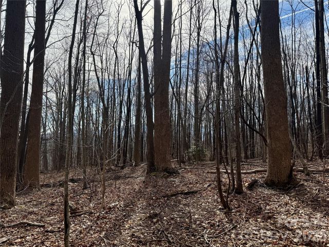 99999 Chesterfield Drive 179, Mill Spring, NC 28756