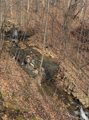 99999 Chesterfield Drive 179, Mill Spring, NC 28756