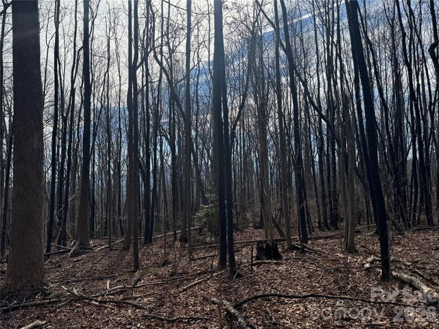 99999 Chesterfield Drive 179, Mill Spring, NC 28756