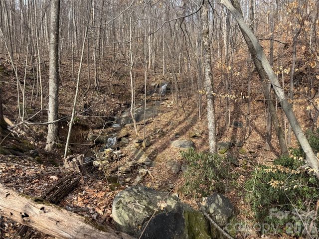 99999 Chesterfield Drive 179, Mill Spring, NC 28756